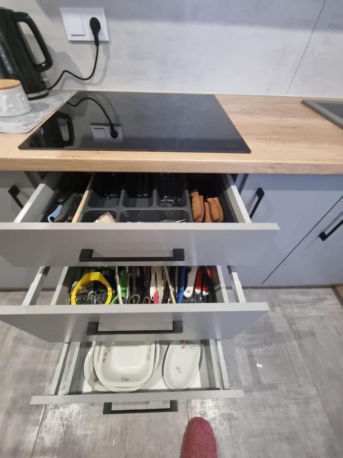 Apartament Lux Lemon Jelenia Góra Exteriör bild