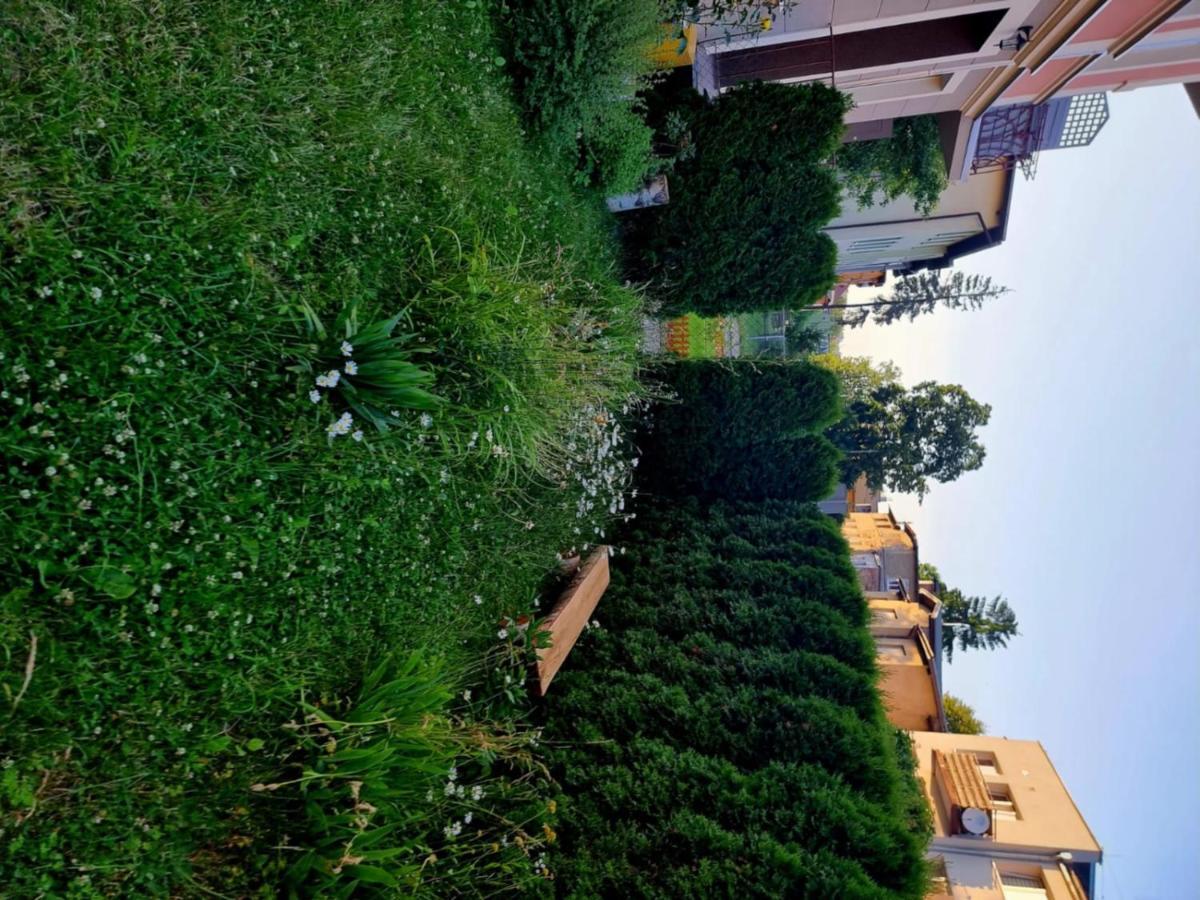 Apartament Lux Lemon Jelenia Góra Exteriör bild